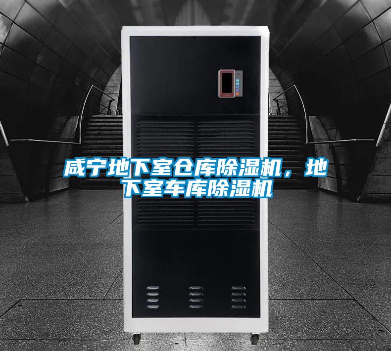 咸寧地下室倉(cāng)庫(kù)除濕機(jī)，地下室車(chē)庫(kù)除濕機(jī)