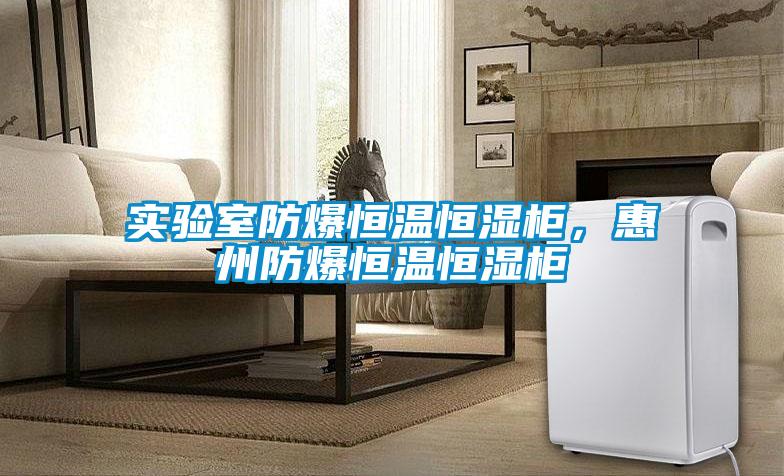 實驗室防爆恒溫恒濕柜，惠州防爆恒溫恒濕柜