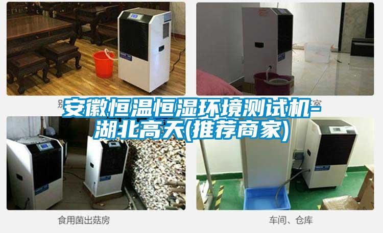 安徽恒溫恒濕環(huán)境測(cè)試機(jī)-湖北高天(推薦商家)