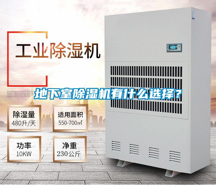 地下室除濕機(jī)有什么選擇？