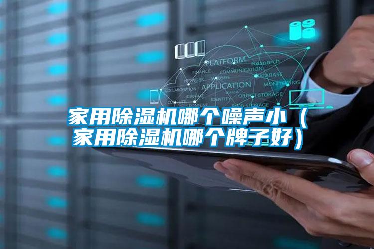 家用除濕機(jī)哪個噪聲?。矣贸凉駲C(jī)哪個牌子好）