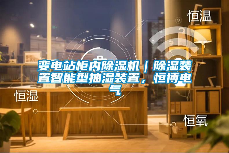 變電站柜內(nèi)除濕機(jī)｜除濕裝置智能型抽濕裝置，恒博電氣