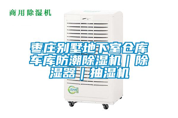 棗莊別墅地下室倉(cāng)庫(kù)車(chē)庫(kù)防潮除濕機(jī)｜除濕器｜抽濕機(jī)