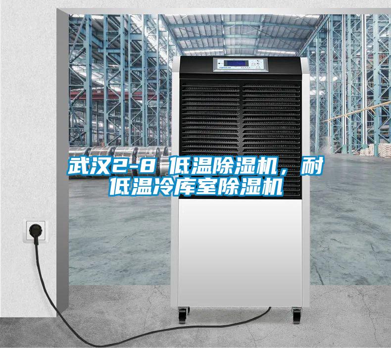 武漢2-8℃低溫除濕機，耐低溫冷庫室除濕機