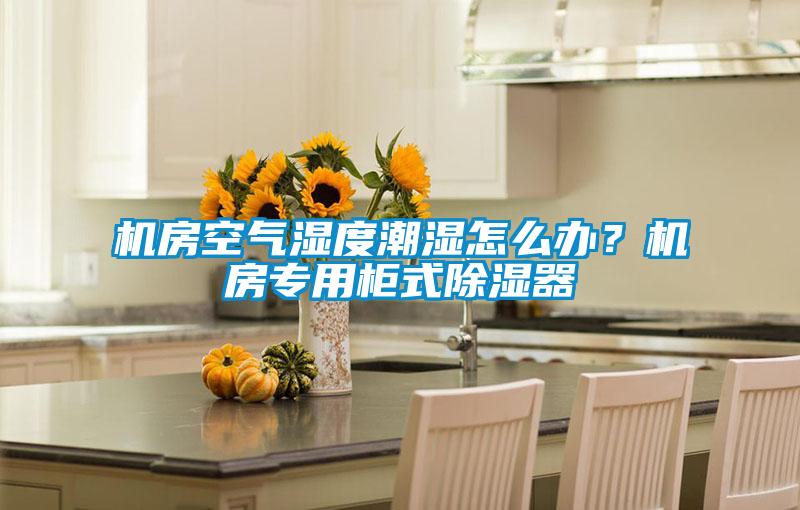 機房空氣濕度潮濕怎么辦？機房專用柜式除濕器