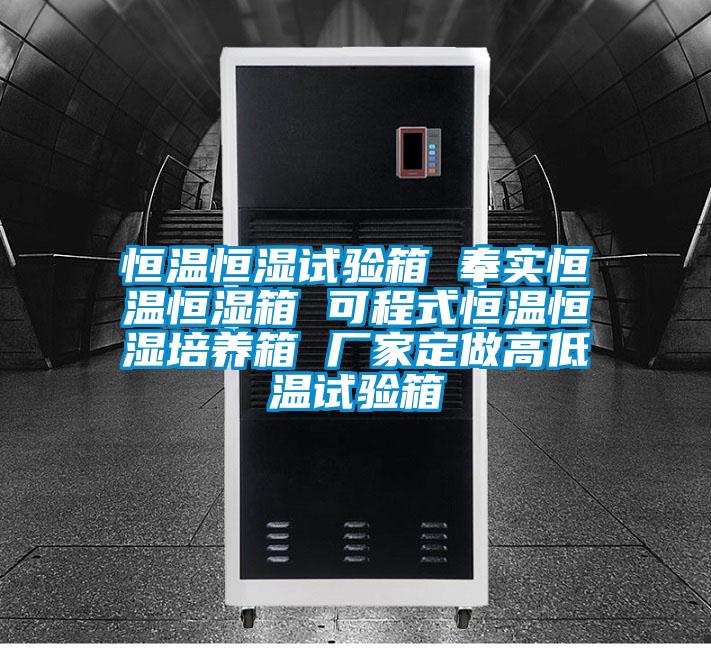 恒溫恒濕試驗箱 奉實(shí)恒溫恒濕箱 可程式恒溫恒濕培養(yǎng)箱 廠家定做高低溫試驗箱