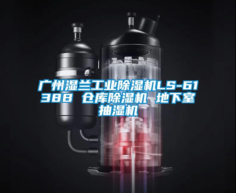 廣州濕蘭工業(yè)除濕機(jī)LS-6138B 倉(cāng)庫(kù)除濕機(jī) 地下室抽濕機(jī)
