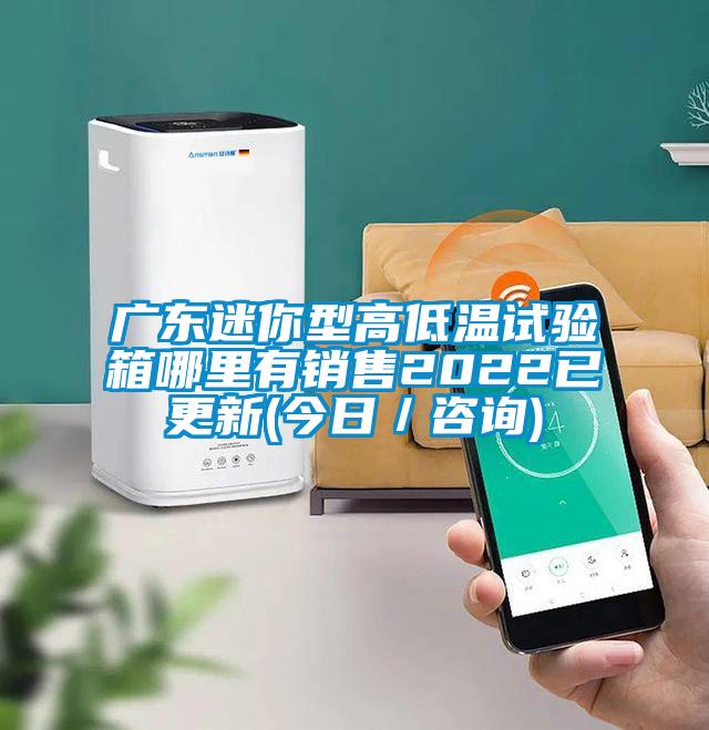 廣東迷你型高低溫試驗(yàn)箱哪里有銷(xiāo)售2022已更新(今日／咨詢)