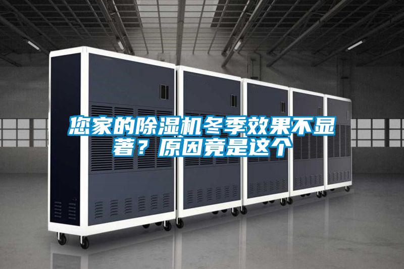 您家的除濕機(jī)冬季效果不顯著？原因竟是這個(gè)
