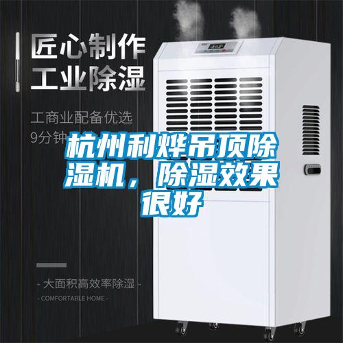 杭州利燁吊頂除濕機(jī)，除濕效果很好
