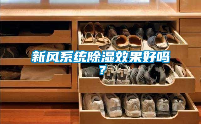 新風(fēng)系統(tǒng)除濕效果好嗎？
