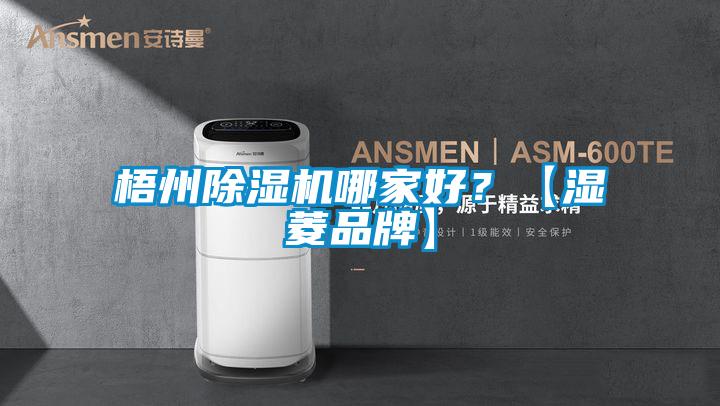 梧州除濕機(jī)哪家好？【濕菱品牌】