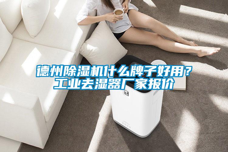 德州除濕機(jī)什么牌子好用？工業(yè)去濕器廠家報(bào)價(jià)