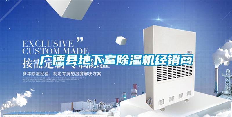 廣德縣地下室除濕機(jī)經(jīng)銷(xiāo)商