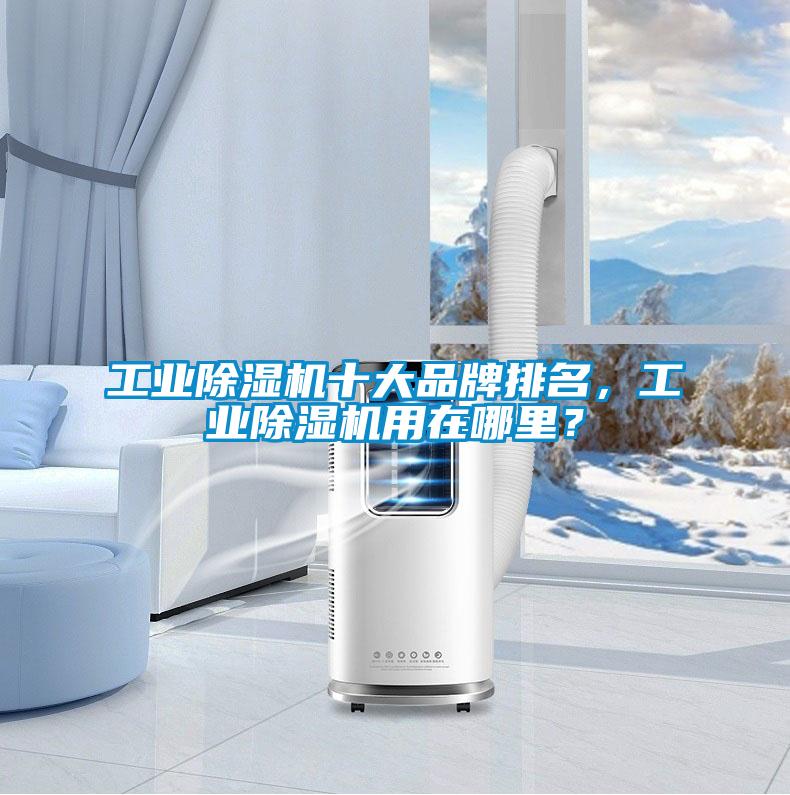 工業(yè)除濕機(jī)十大品牌排名，工業(yè)除濕機(jī)用在哪里？