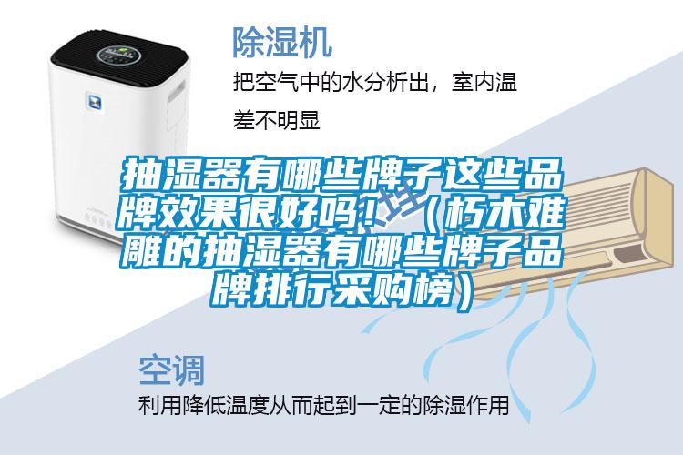 抽濕器有哪些牌子這些品牌效果很好嗎?。ㄐ嗄倦y雕的抽濕器有哪些牌子品牌排行采購榜）