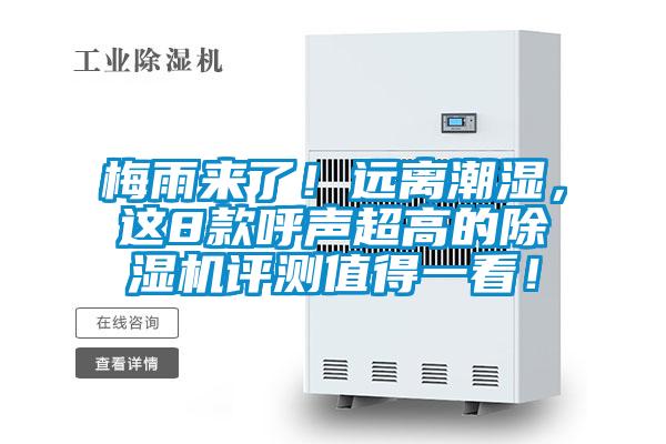 梅雨來了！遠離潮濕，這8款呼聲超高的除濕機評測值得一看！