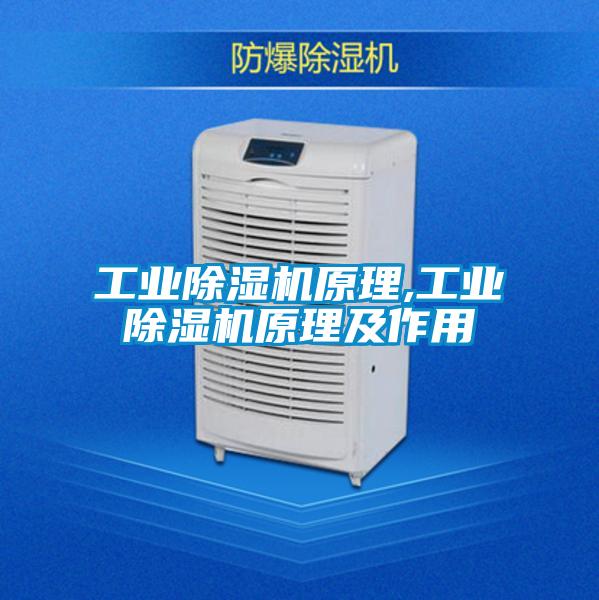 工業(yè)除濕機原理,工業(yè)除濕機原理及作用