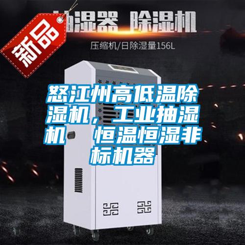 怒江州高低溫除濕機(jī)，工業(yè)抽濕機(jī)  恒溫恒濕非標(biāo)機(jī)器