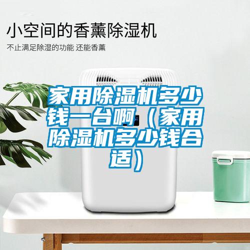 家用除濕機(jī)多少錢一臺(tái)啊（家用除濕機(jī)多少錢合適）