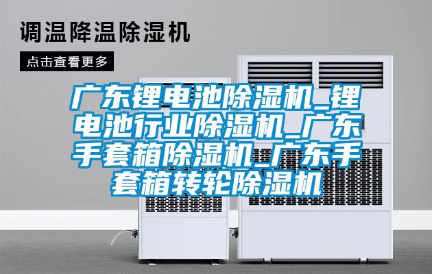 廣東鋰電池除濕機_鋰電池行業(yè)除濕機_廣東手套箱除濕機_廣東手套箱轉輪除濕機