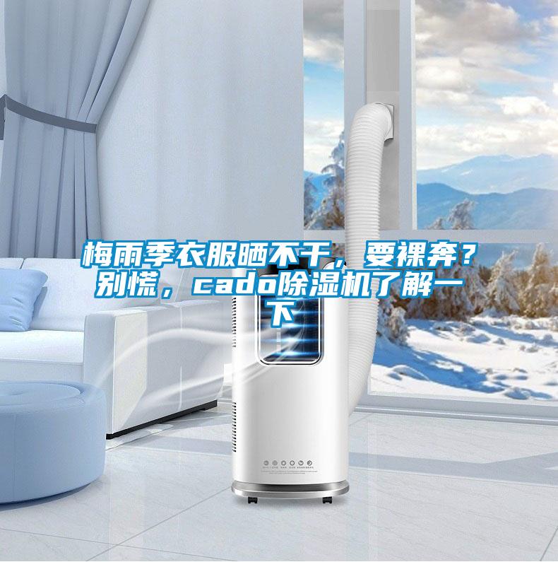梅雨季衣服曬不干，要裸奔？別慌，cado除濕機(jī)了解一下