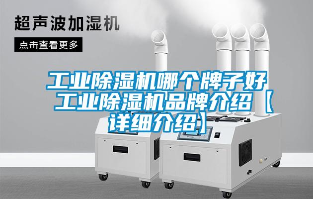 工業(yè)除濕機(jī)哪個(gè)牌子好 工業(yè)除濕機(jī)品牌介紹【詳細(xì)介紹】