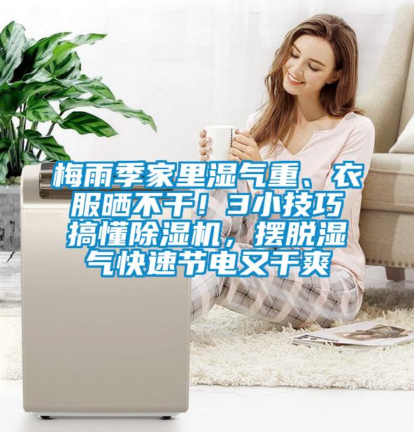 梅雨季家里濕氣重、衣服曬不干！3小技巧搞懂除濕機(jī)，擺脫濕氣快速節(jié)電又干爽
