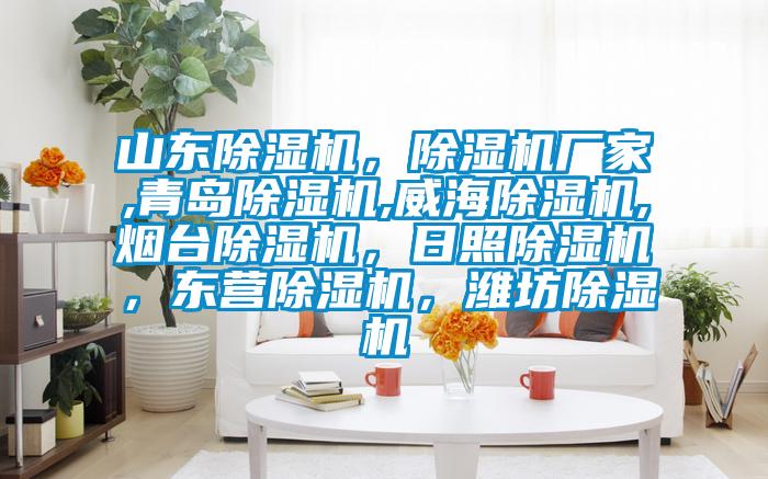 山東除濕機，除濕機廠家,青島除濕機,威海除濕機,煙臺除濕機，日照除濕機，東營除濕機，濰坊除濕機