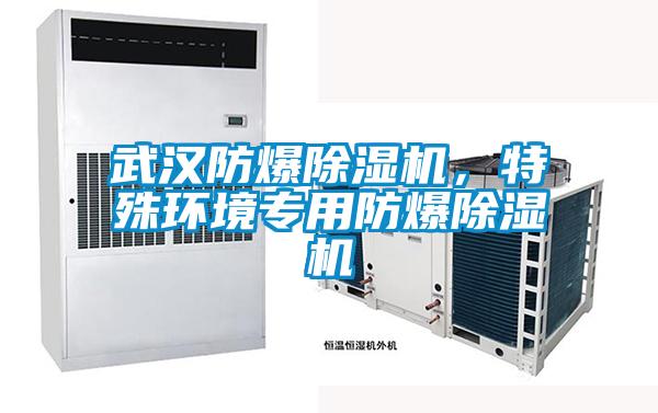 武漢防爆除濕機，特殊環(huán)境專用防爆除濕機