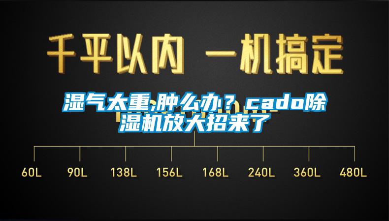 濕氣太重,腫么辦？cado除濕機(jī)放大招來(lái)了
