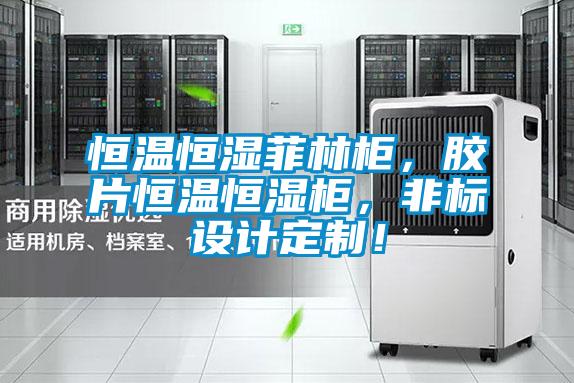 恒溫恒濕菲林柜，膠片恒溫恒濕柜，非標(biāo)設(shè)計(jì)定制！