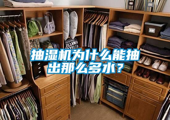 抽濕機(jī)為什么能抽出那么多水？