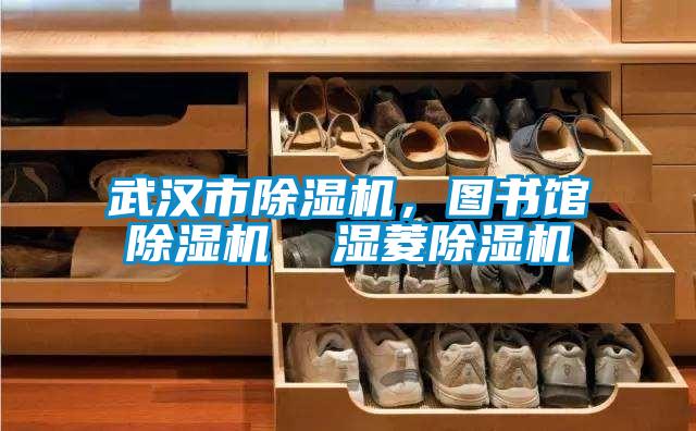 武漢市除濕機，圖書館除濕機  濕菱除濕機
