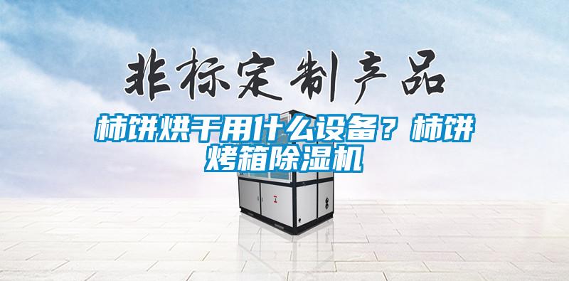 柿餅烘干用什么設(shè)備？柿餅烤箱除濕機(jī)