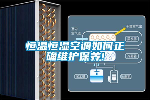 恒溫恒濕空調(diào)如何正確維護(hù)保養(yǎng)!
