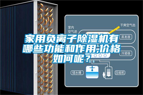 家用負(fù)離子除濕機(jī)有哪些功能和作用,價(jià)格如何呢？