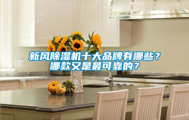 新風(fēng)除濕機(jī)十大品牌有哪些？哪款又是最可靠的？