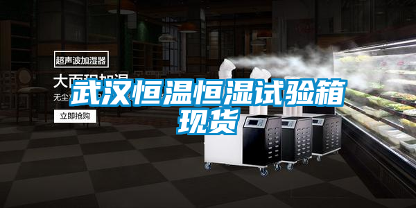武漢恒溫恒濕試驗箱現(xiàn)貨