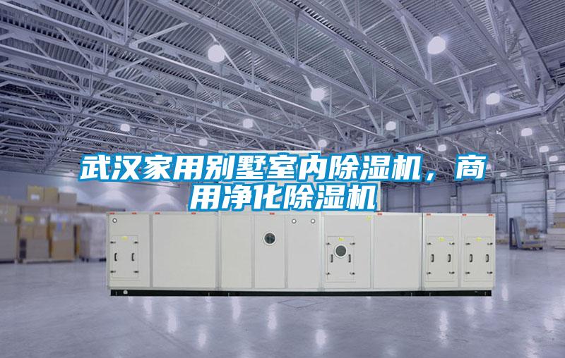 武漢家用別墅室內(nèi)除濕機，商用凈化除濕機