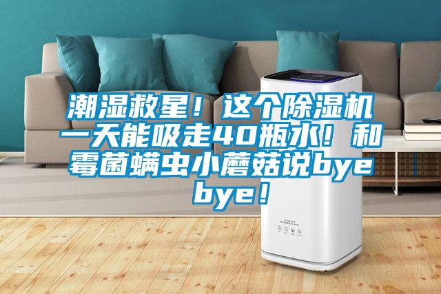 潮濕救星！這個(gè)除濕機(jī)一天能吸走40瓶水！和霉菌螨蟲(chóng)小蘑菇說(shuō)bye bye！