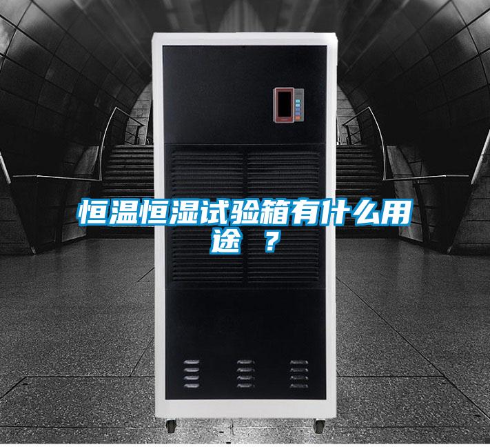 恒溫恒濕試驗(yàn)箱有什么用途 ？