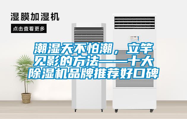 潮濕天不怕潮，立竿見影的方法——十大除濕機品牌推薦好口碑