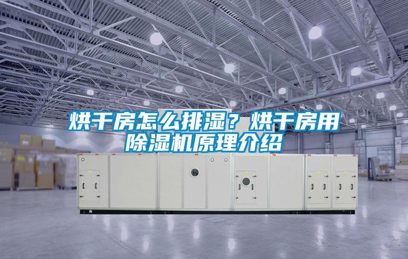烘干房怎么排濕？烘干房用除濕機(jī)原理介紹