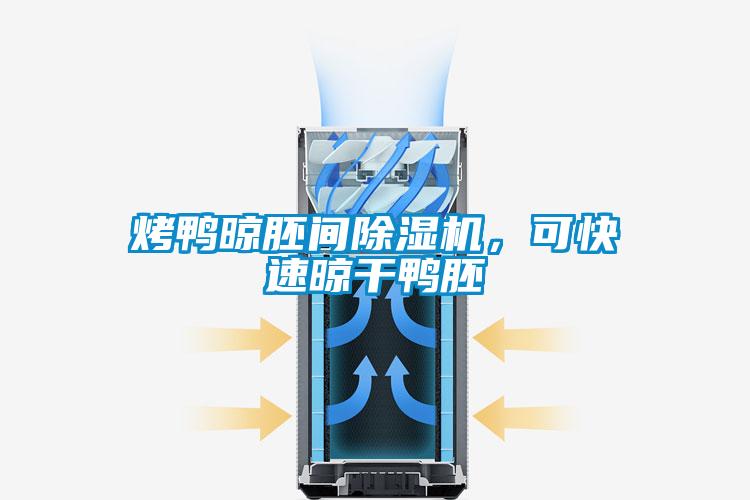 烤鴨晾胚間除濕機，可快速晾干鴨胚