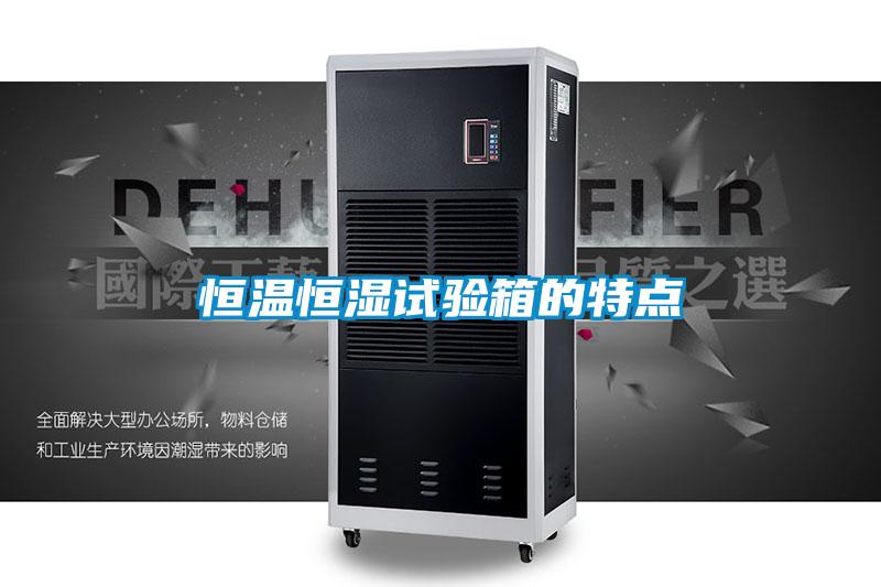 恒溫恒濕試驗(yàn)箱的特點(diǎn)
