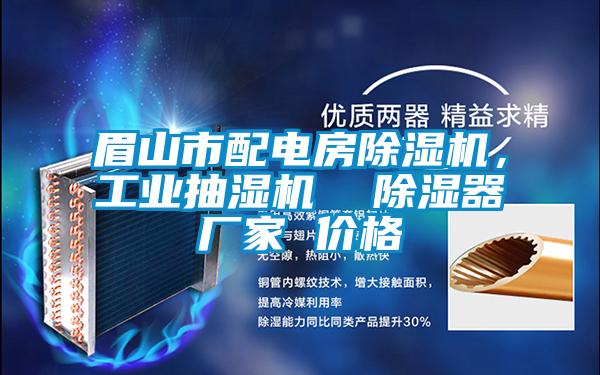 眉山市配電房除濕機，工業(yè)抽濕機  除濕器廠家 價格
