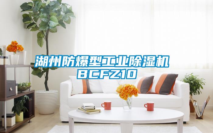湖州防爆型工業(yè)除濕機 BCFZ10