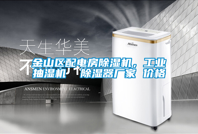 金山區(qū)配電房除濕機(jī)，工業(yè)抽濕機(jī)  除濕器廠家 價(jià)格
