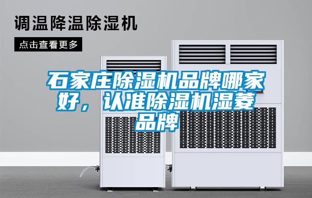 石家莊除濕機品牌哪家好，認準除濕機濕菱品牌